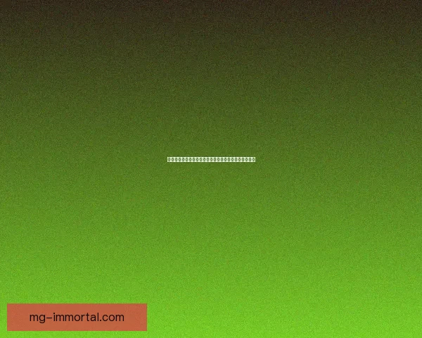 粉红宝盒中的神秘宝物揭晓开出何种珍稀物品与惊喜奖励